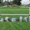 5 foot birch jump standards and rock set