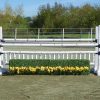 Boxwood Hedge with Flower Strips