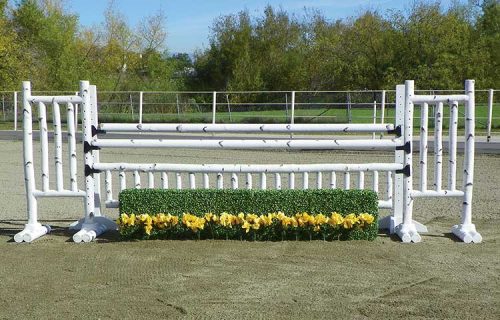 Boxwood Hedge with Flower Strips