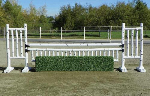 Boxwood Hedge