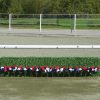 Boxwood Hedge with Flower Strips