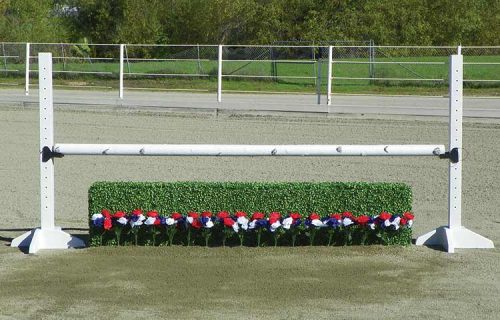 Boxwood Hedge with Flower Strips