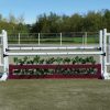 brush box and foliage with birch complete jump