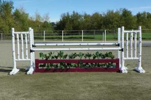 Birch With Brush Box Oxer Jump