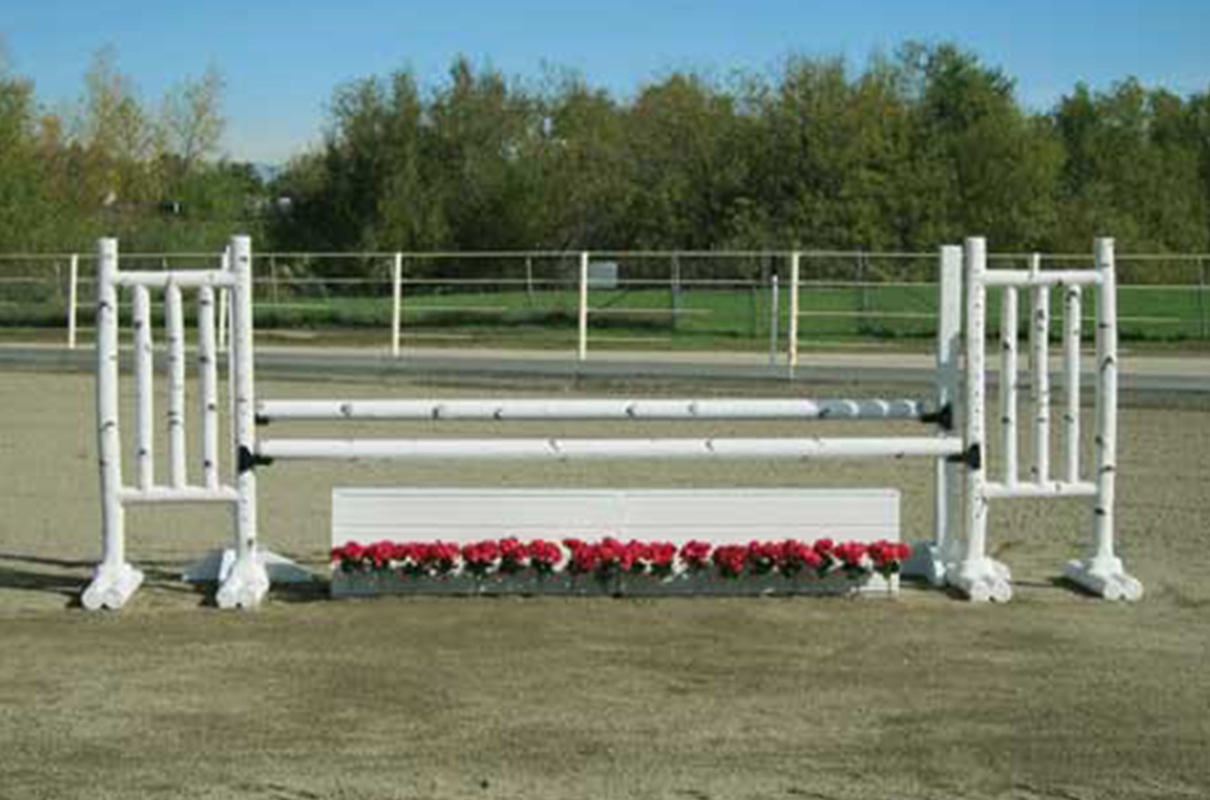 Birch Oxer Jump BSA77 Complete Horse Jumps Arena Supplies