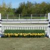 burlingham sports birch gate with boxhedge and flowers