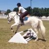 easy glide jump with a horse and rider