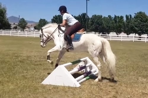 easy glide jump with a horse and rider