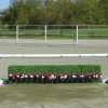 flower strips with box hedge, school standards, and birch pole