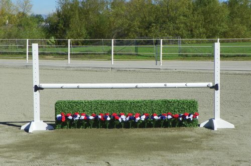 flower strips with box hedge, school standards, and birch pole