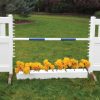 solid picket top jump set with flower box and blue soft pole