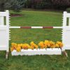 solid picket top jump set with flower box and red soft pole