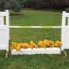 solid picket top jump set with flower box and yellow soft pole