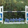 solid picket top jump set with dream pony and flower box