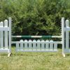 slant picket jump set and green soft pole