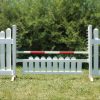 slant picket jump set and red soft pole