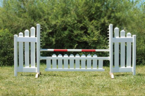 slant picket jump set and red soft pole