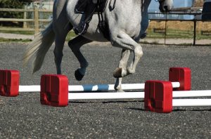 quick cavaletti training obstacle and horse