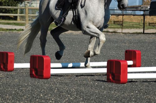 quick cavaletti training obstacle and horse