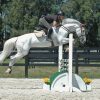 horse jumping over roll top