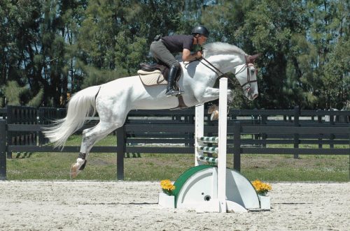 horse jumping over roll top