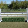 6 foot birch jump standards complete jump with box hedge