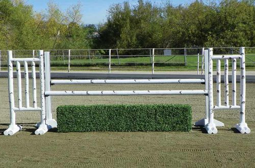 6 foot birch jump standards complete jump with box hedge
