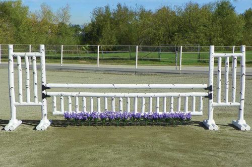 6 foot birch jump standards with flower strip