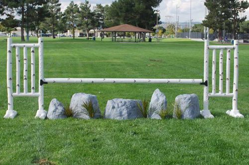 birch jump standards and rock set