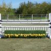birch jump standards with box hedge and flower strip