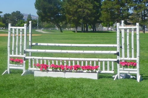 birch jump standards with gate and flower box