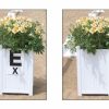 Arena Flower Box Single