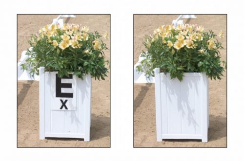 Arena Flower Box Single