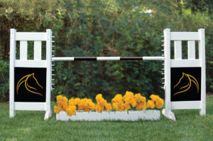 graphic panel jump with flower box golden horse panels