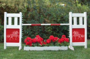 graphic panel jump with flower box and star pony graphic panels