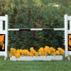 solid picket top jump set with flower box and halloween graphic panels