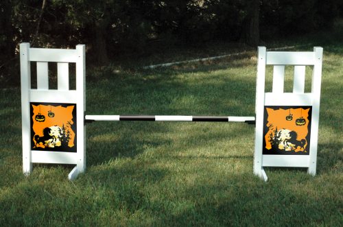 solid picket top jump set with halloween graphic panels