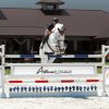 training flower boxes with arena supplies graphic panels and gate. horse jumping over complete jump