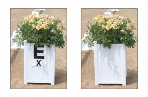 Arena Flower Boxes