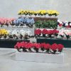 training flower boxes in brown, light grey, white, black, and green