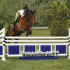 training flower boxes two tone complete jump