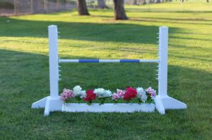 schooling kid jump with flower box