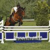 training flower boxes with two tone wings and gate complete jumps