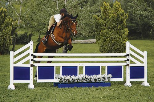 training flower boxes with two tone wings and gate complete jumps