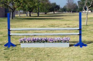 schooling jump with flower box