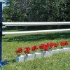 burlingham sports schooling package schooling jump with flowers