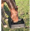 gradual feeder and horse