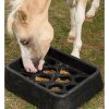 horse eating out of a gradual feeder