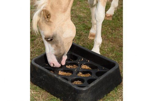 horse eating out of a gradual feeder