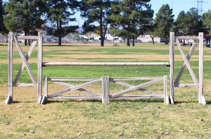 Weathered Split Rail Complete Jump